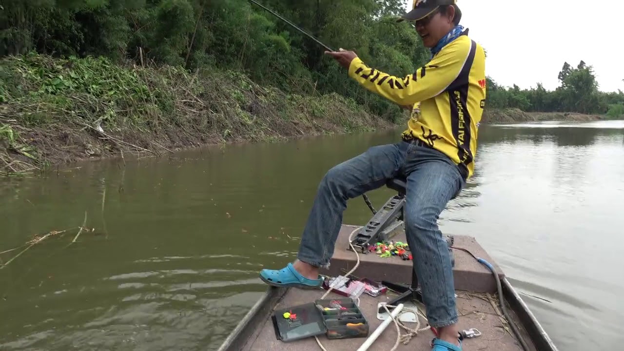 video mancing ikan